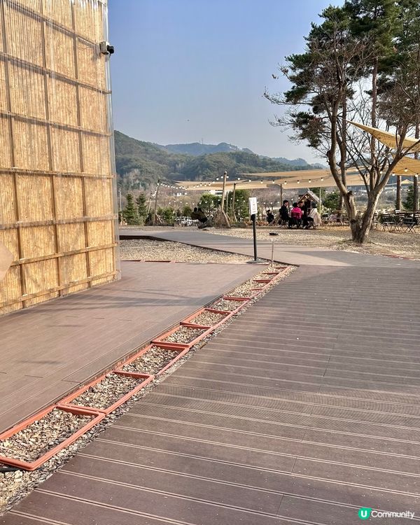 🇰🇷韓國春川必打卡「超可愛煙煙韌韌薯仔包」 