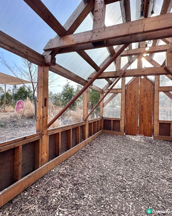 🇰🇷韓國春川必打卡「超可愛煙煙韌韌薯仔包」 