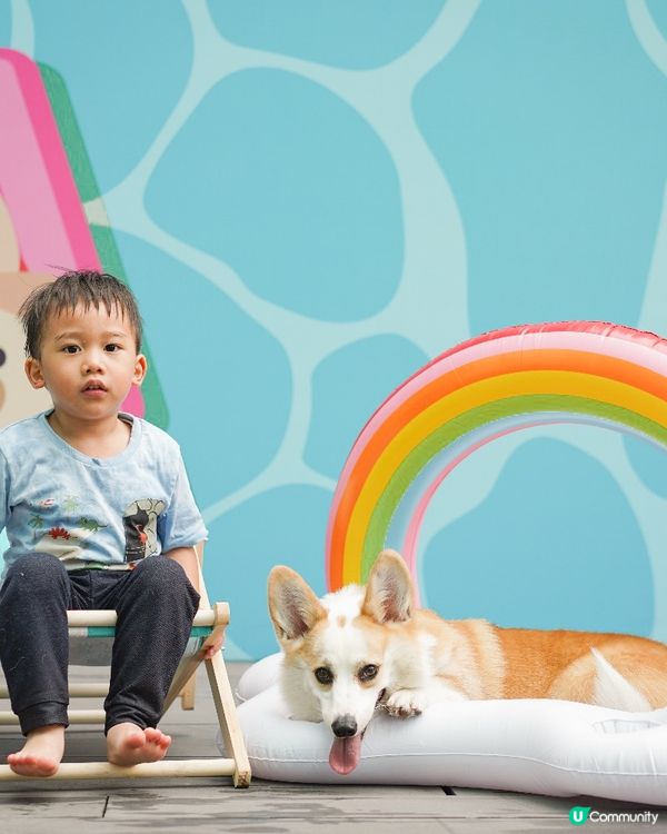 人仔同狗仔都可以一齊嚟玩? 你無聽錯 ！