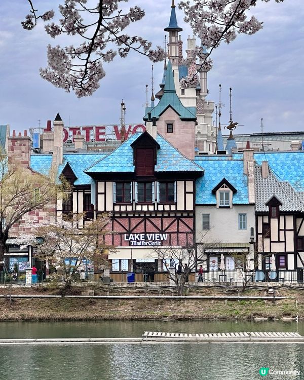 🇰🇷 韓國石村湖櫻花實測報告！夜櫻先係隱藏版靚景