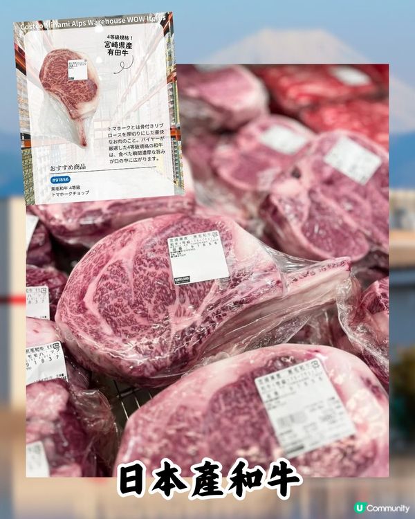 日本最美Costco「同框富士山」！山梨縣新店過千人通宵排隊！即睇有咩買>>