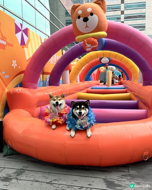 萌寵潑水節💦