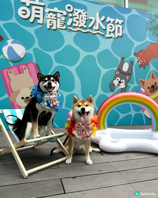 萌寵潑水節💦