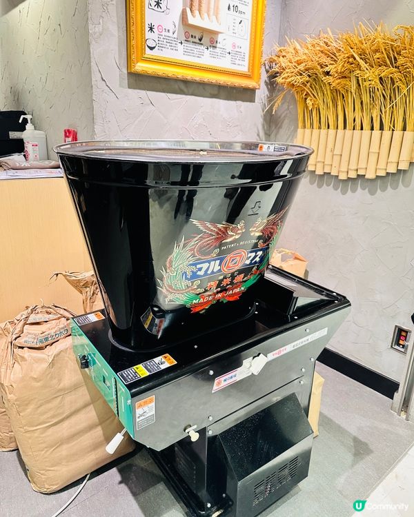 《親民版「挽肉と米」｜漢堡扒自由革命》