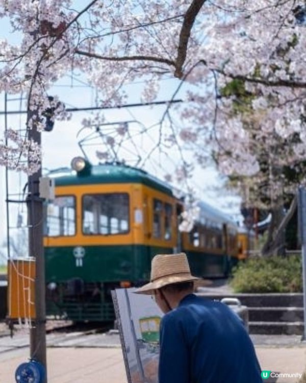 舊月潟駅，南瓜電車🎃🚃 櫻花🌸🌸