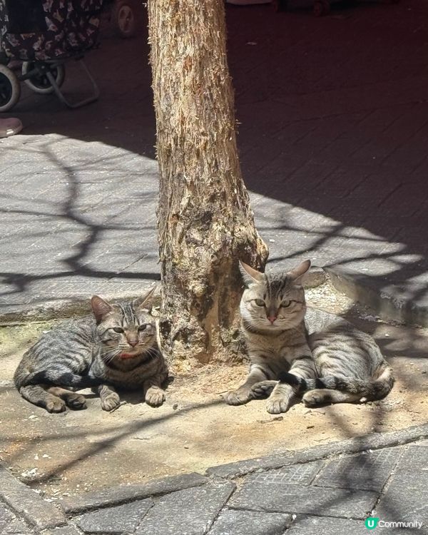 得意到，遇見佢地贏咗99%的人