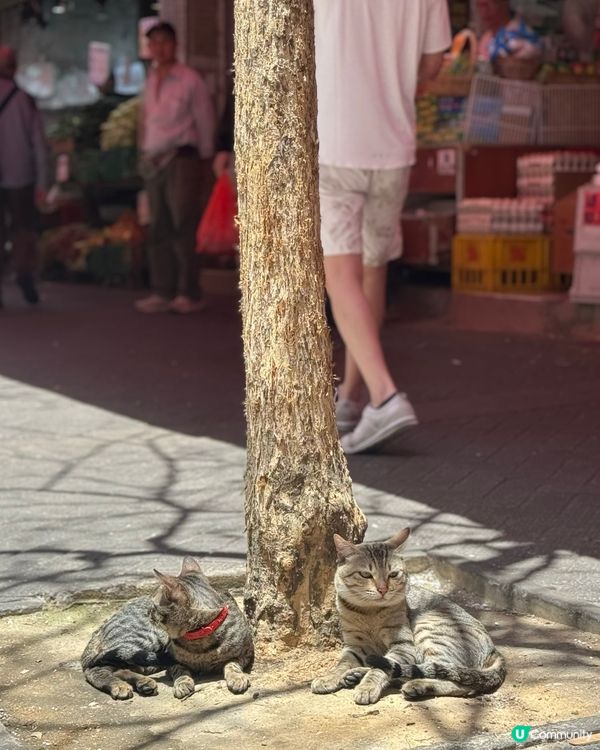 得意到，遇見佢地贏咗99%的人