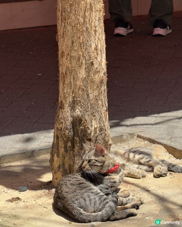 得意到，遇見佢地贏咗99%的人