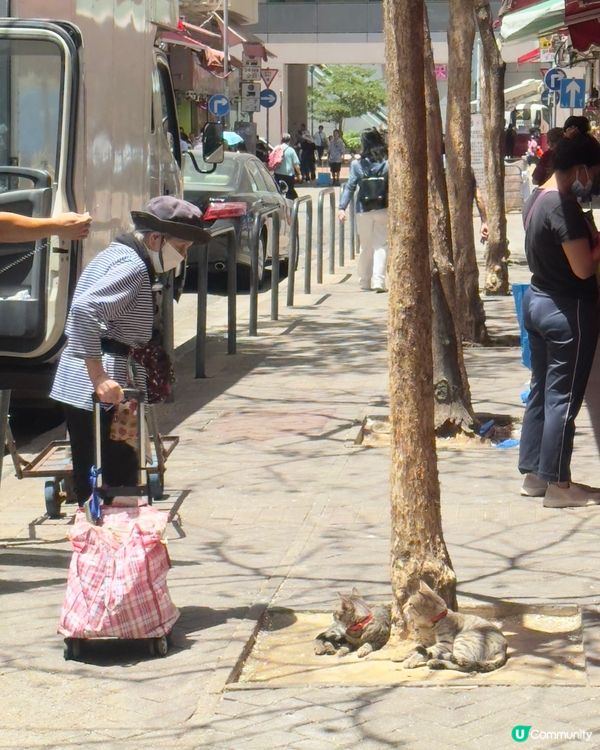 得意到，遇見佢地贏咗99%的人