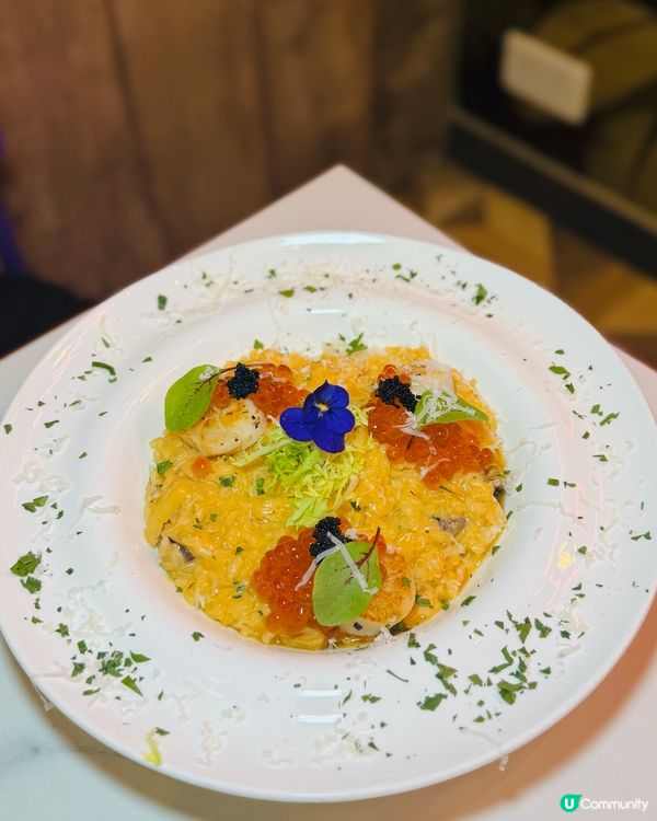 荃灣必食海鮮🦞巨型龍蝦盤！🤤