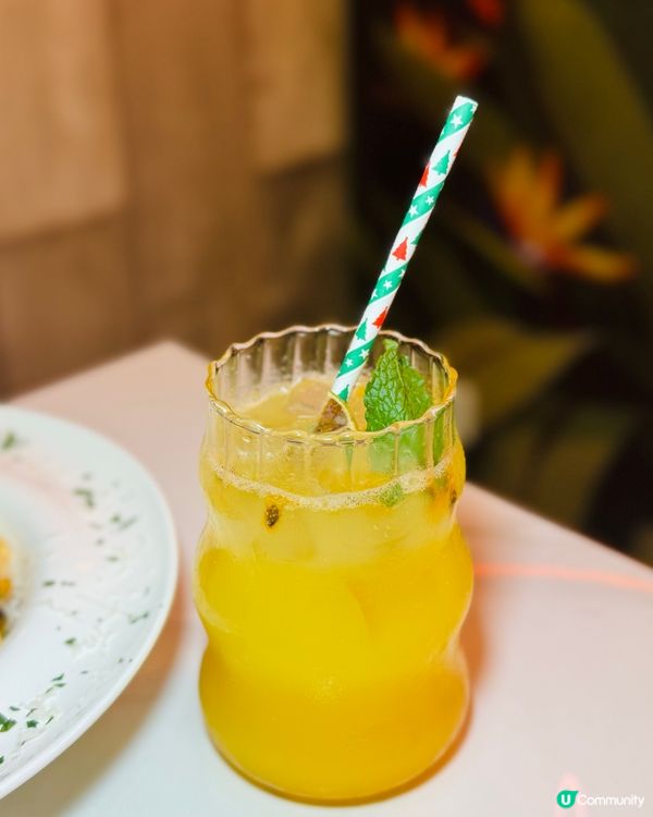 荃灣必食海鮮🦞巨型龍蝦盤！🤤