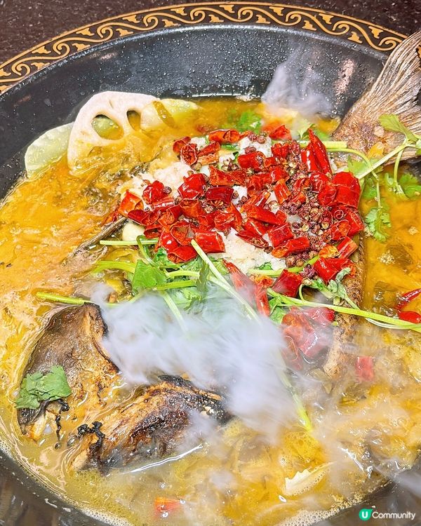 🎏一個價錢打孖上‼️麻甩爐又食火鍋又食烤魚🔥