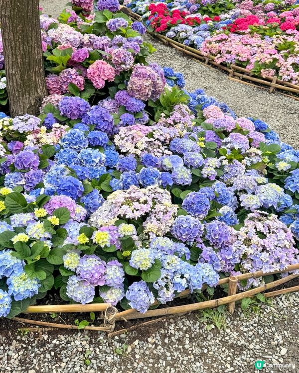 台北大森林公園｜城市裡的秘密花園