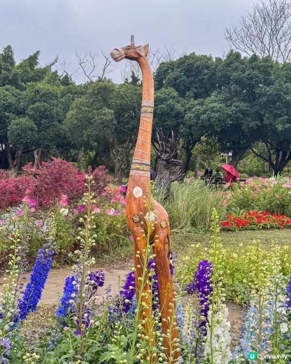 台北大森林公園｜城市裡的秘密花園