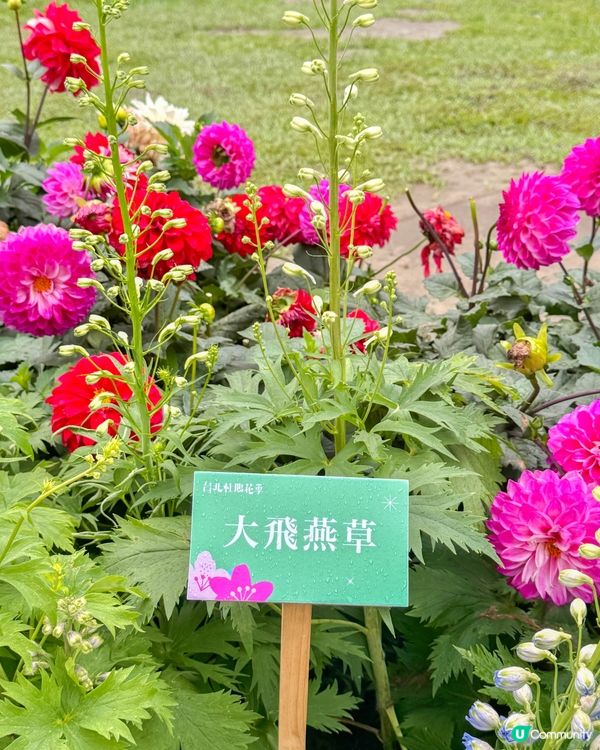 台北大森林公園｜城市裡的秘密花園