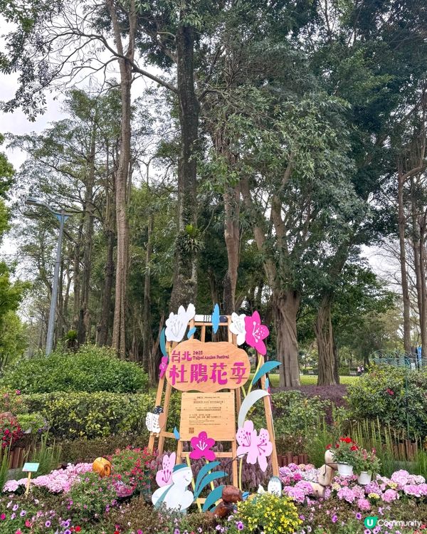 台北大森林公園｜城市裡的秘密花園