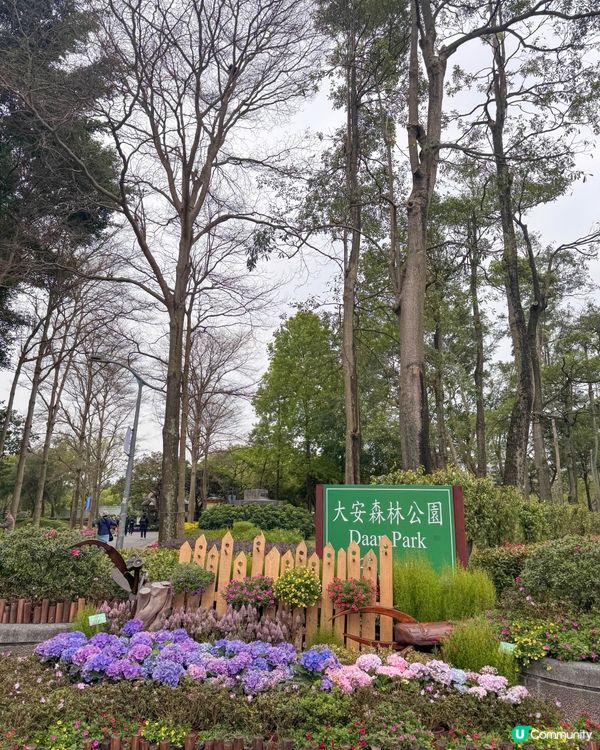 台北大森林公園｜城市裡的秘密花園