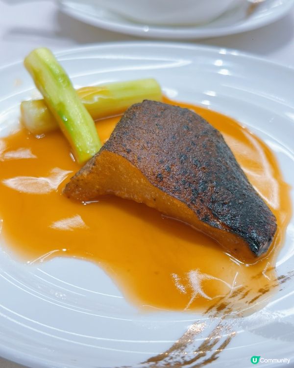 尖沙咀潮州味蕾之旅 🥢😋 必試紅燒魚鰾煲•脆皮婆參