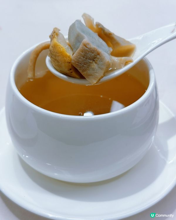 尖沙咀潮州味蕾之旅 🥢😋 必試紅燒魚鰾煲•脆皮婆參