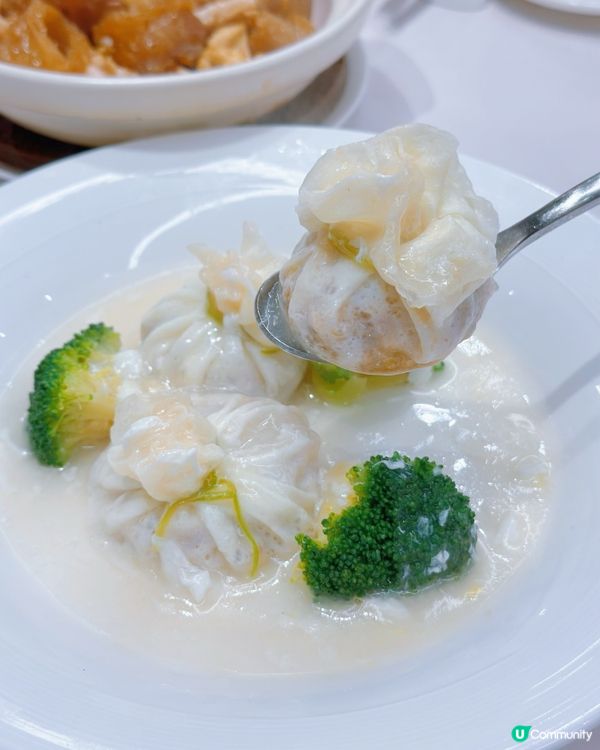 尖沙咀潮州味蕾之旅 🥢😋 必試紅燒魚鰾煲•脆皮婆參