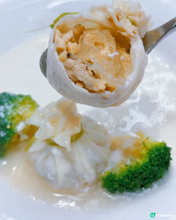 尖沙咀潮州味蕾之旅 🥢😋 必試紅燒魚鰾煲•脆皮婆參