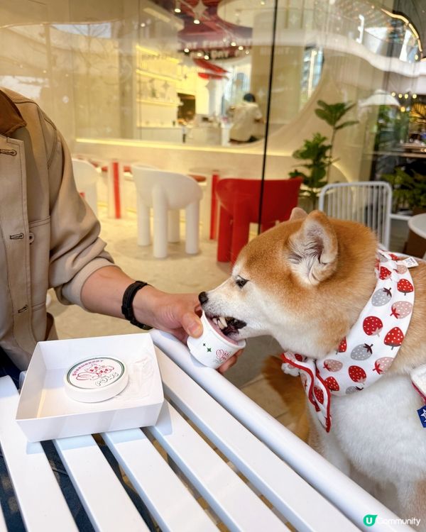 雪糕 x Churros🤍