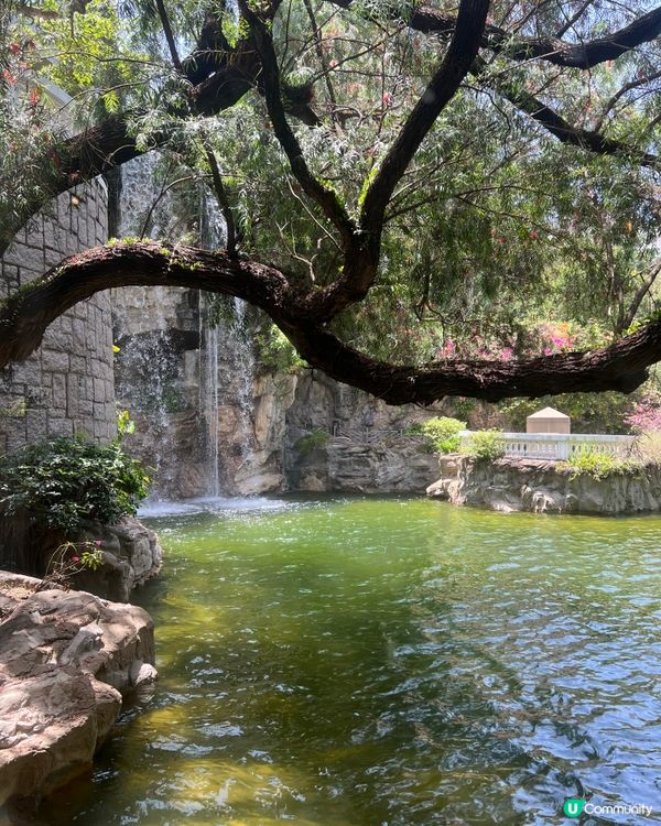 金鐘秘境餐廳！🌊瀑布旁歎香煎豬扒蘋果燒汁🤤🥩Pondside