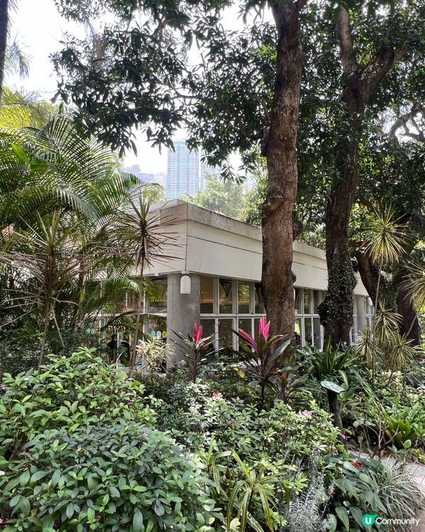 金鐘秘境餐廳！🌊瀑布旁歎香煎豬扒蘋果燒汁🤤🥩Pondside