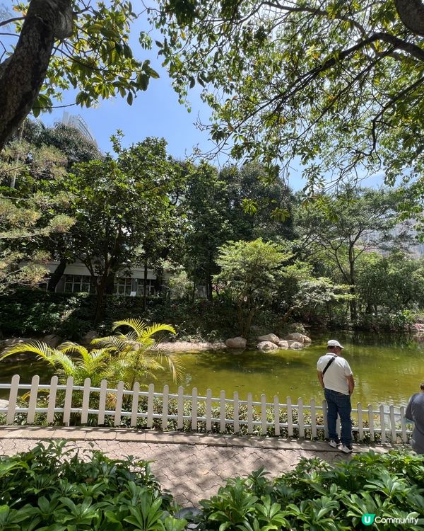金鐘秘境餐廳！🌊瀑布旁歎香煎豬扒蘋果燒汁🤤🥩Pondside
