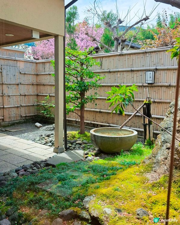 嵐山必食🌸「藝伎臉」甜品！🤤