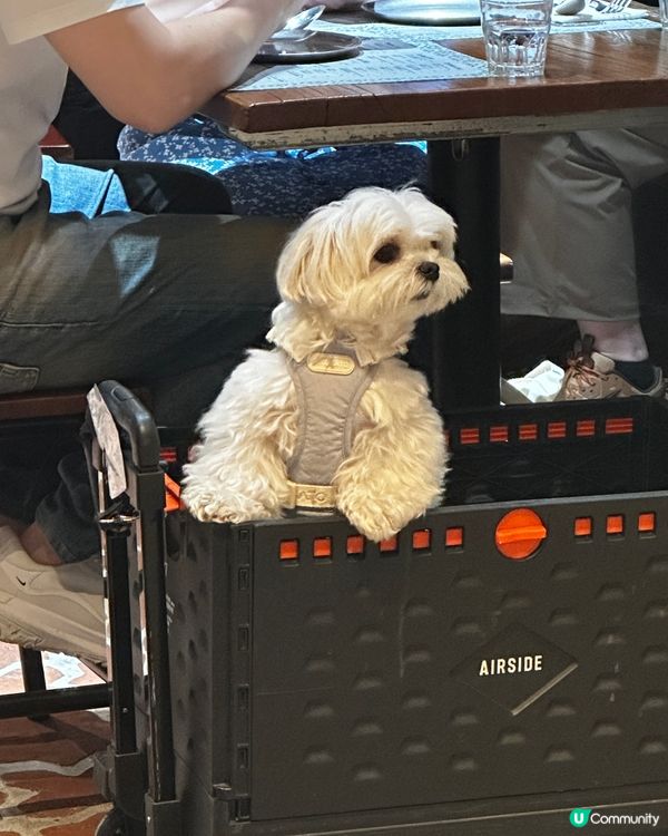 啟德AIRSIDE 泰沾麵 🇹🇭