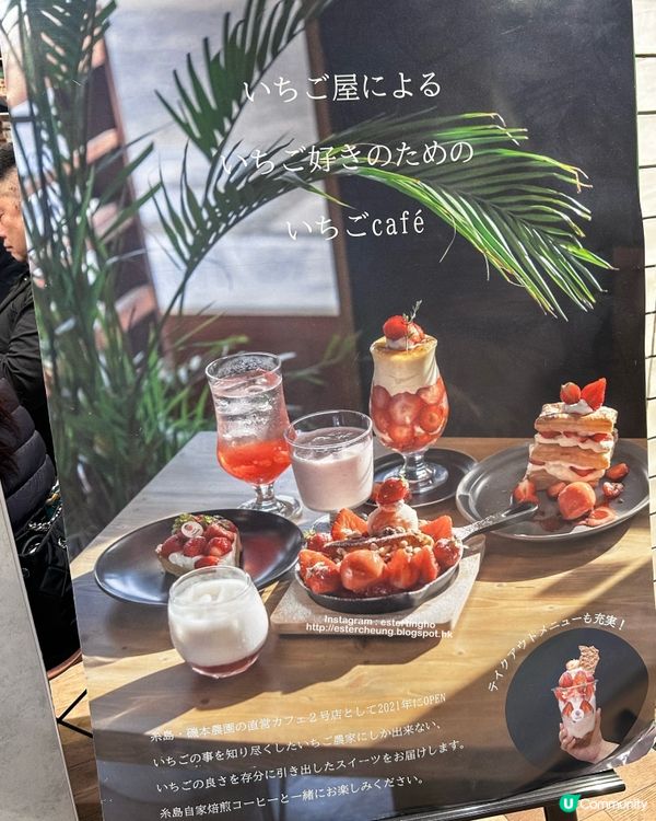 天神必食💕 糸島「磯本農園」直營 cafe 🍓甜王草莓甜品