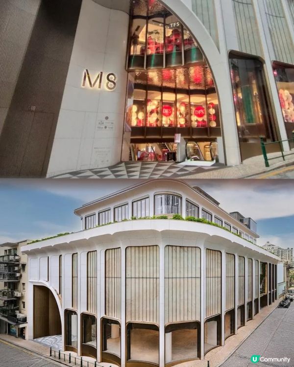 澳門美食🇲🇴 M8 新地標泰國菜Mango Tree 