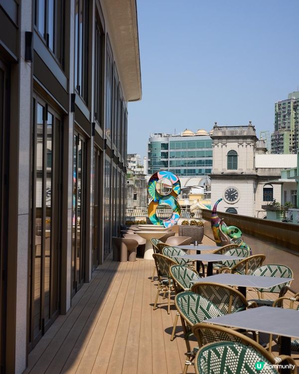 澳門美食🇲🇴 M8 新地標泰國菜Mango Tree 