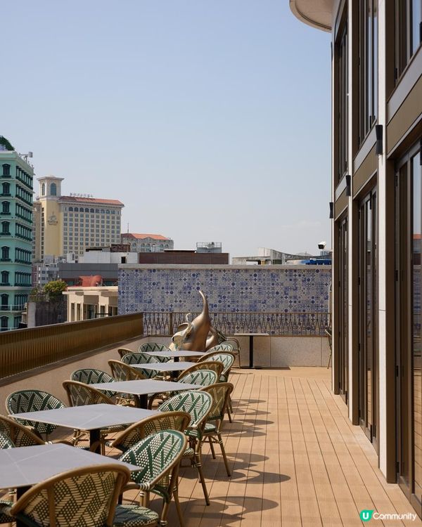 澳門美食🇲🇴 M8 新地標泰國菜Mango Tree 