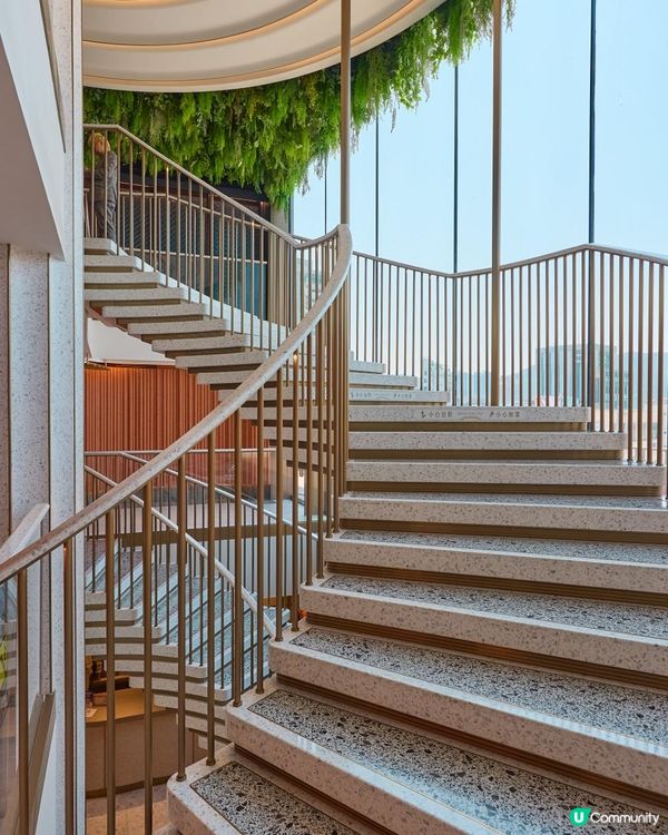 澳門美食🇲🇴 M8 新地標泰國菜Mango Tree 