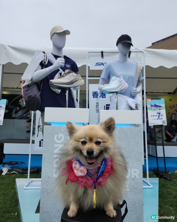 SKECHERS FRIENDSHIP WALK 2025