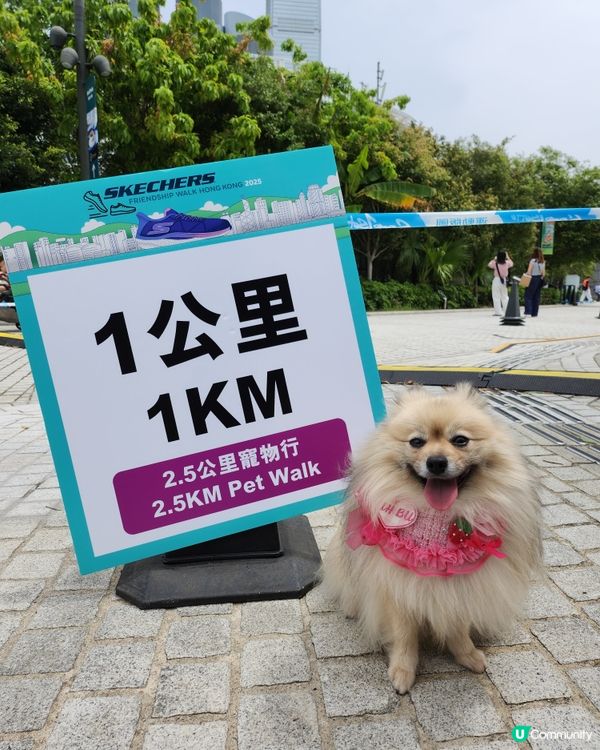 SKECHERS FRIENDSHIP WALK 2025