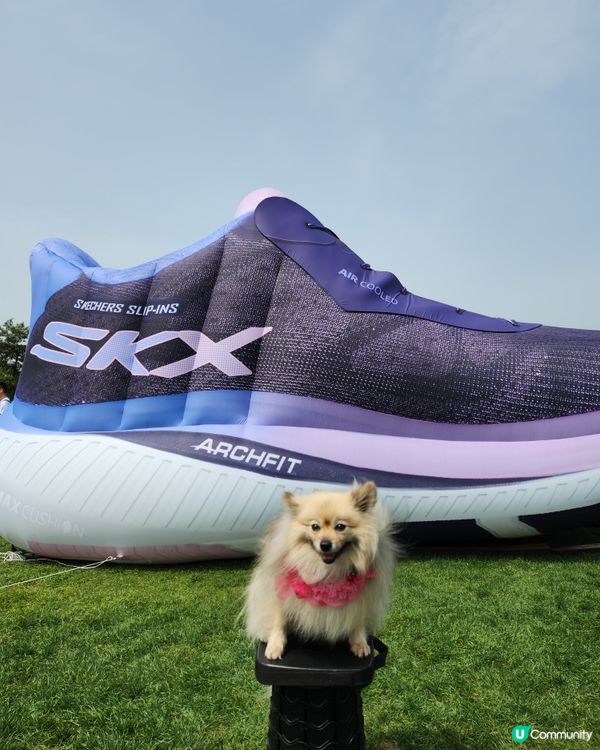 SKECHERS FRIENDSHIP WALK 2025