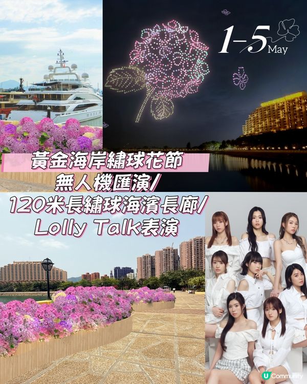 五一不出港🇭🇰屯門黃金海岸繡球花節浪漫來襲