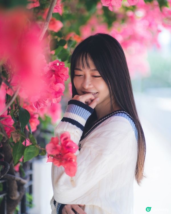 簕杜鵑真係好靚