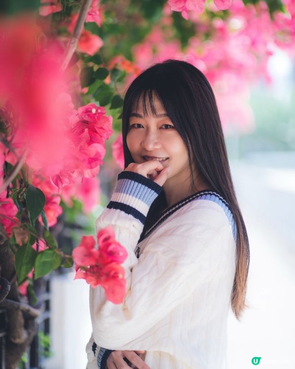 簕杜鵑真係好靚