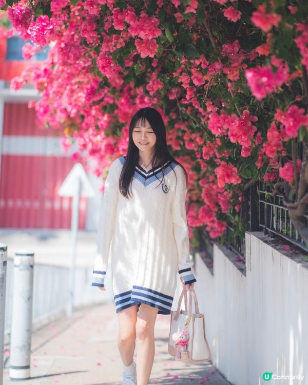 簕杜鵑真係好靚