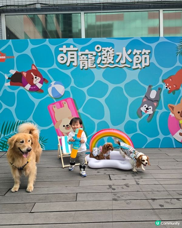 HomeSquare🏠萌寵潑水節🐶🐶