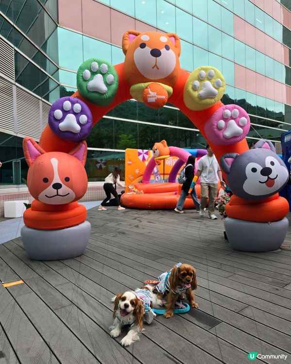 HomeSquare🏠萌寵潑水節🐶🐶