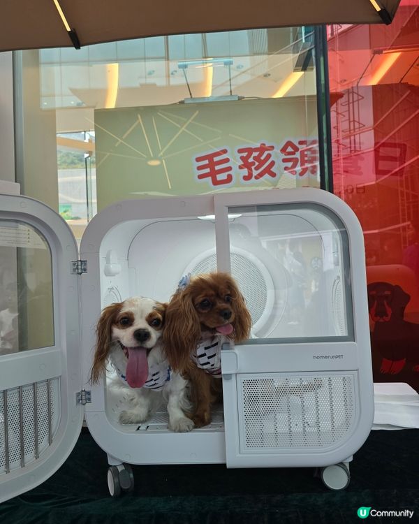 HomeSquare🏠萌寵潑水節🐶🐶