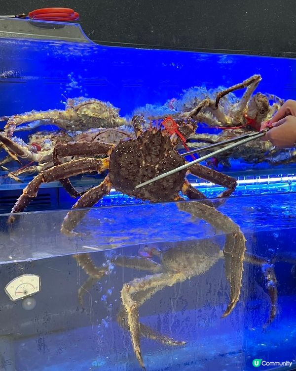 食蟹控必試！🦀 平安金融中心蟹道松葉蟹套餐