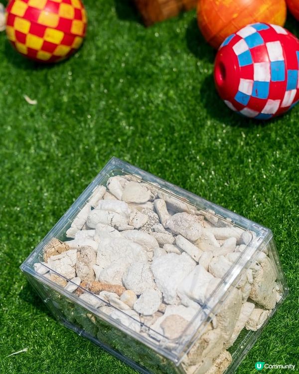 首屆Bling Bling Ocean香港海洋節