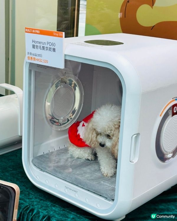 Homesquare萌寵潑水節