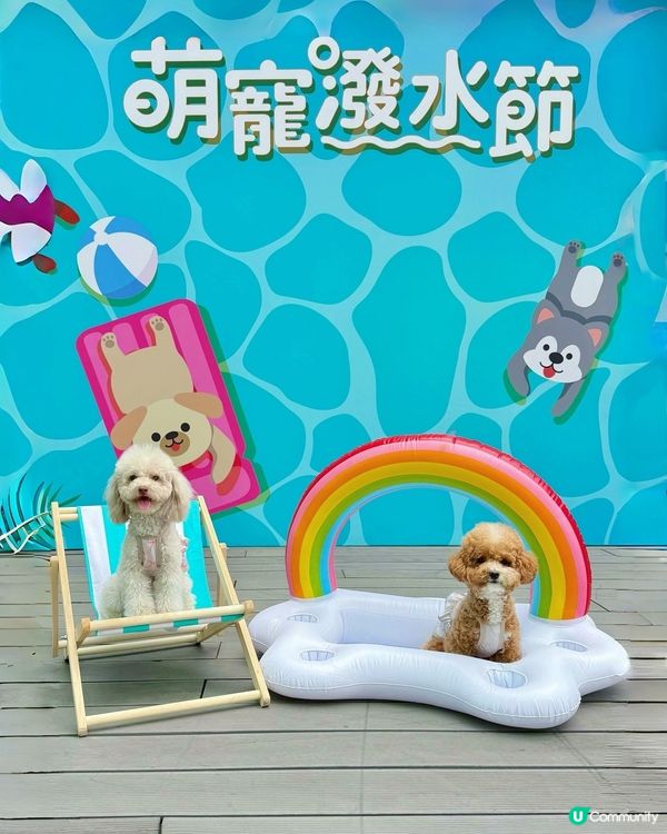 🐶💦萌寵潑水節！玩到濕晒都唔怕！😎